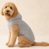 PawWell Reflective Dog Hoodie