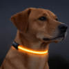 PawWell Rechargeable LED Safety Collar
