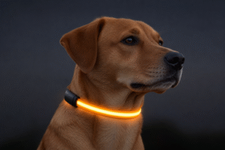 PawWell Rechargeable LED Safety Collar