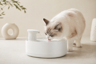 PawWell Filtered Cat Water Fountain