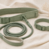 PawWell Hands-Free Leash Set