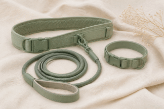 PawWell Hands-Free Leash Set